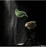 Air Blower for Coffee Machines - Hummingbird