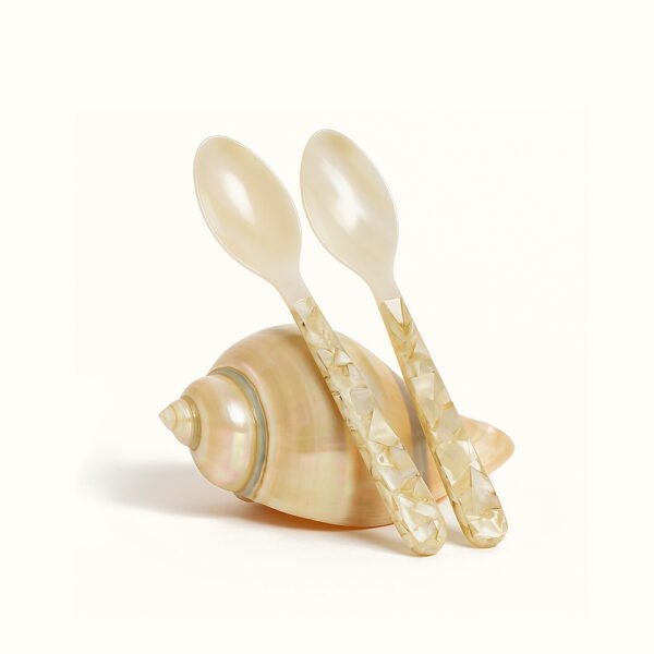 2pcs Nacre Spoon Set