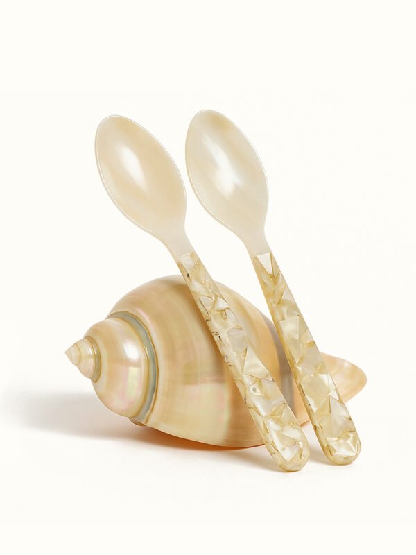 2pcs Nacre Spoon Set