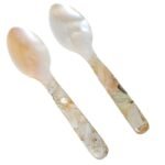 2pcs Nacre Spoon Set
